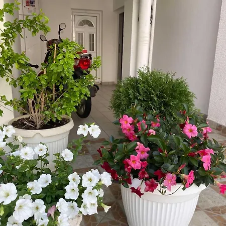 Jovanaa Apartment Budva